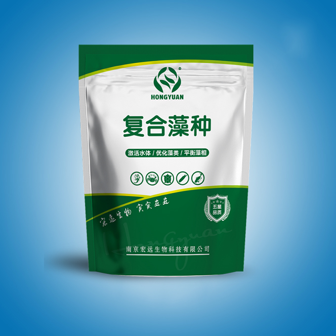 复合藻种